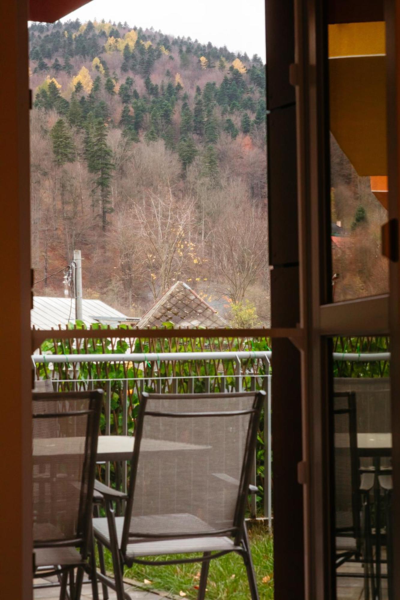 锡纳亚Mountain Retreat公寓 外观 照片